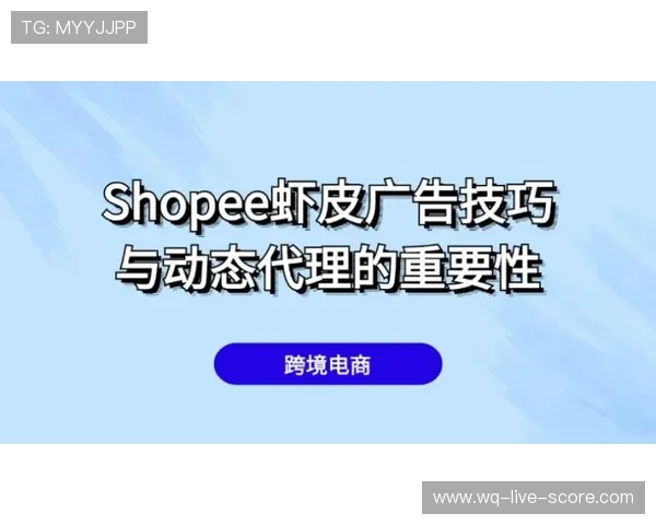 波胆代理怎么找精准客户电子真人规则技巧防骗避坑